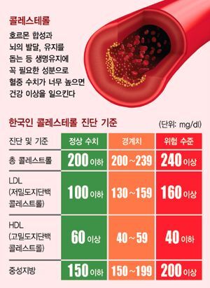 다양한-항목-분석