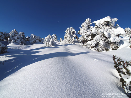 제주 한라산 탐방 예약 사이트