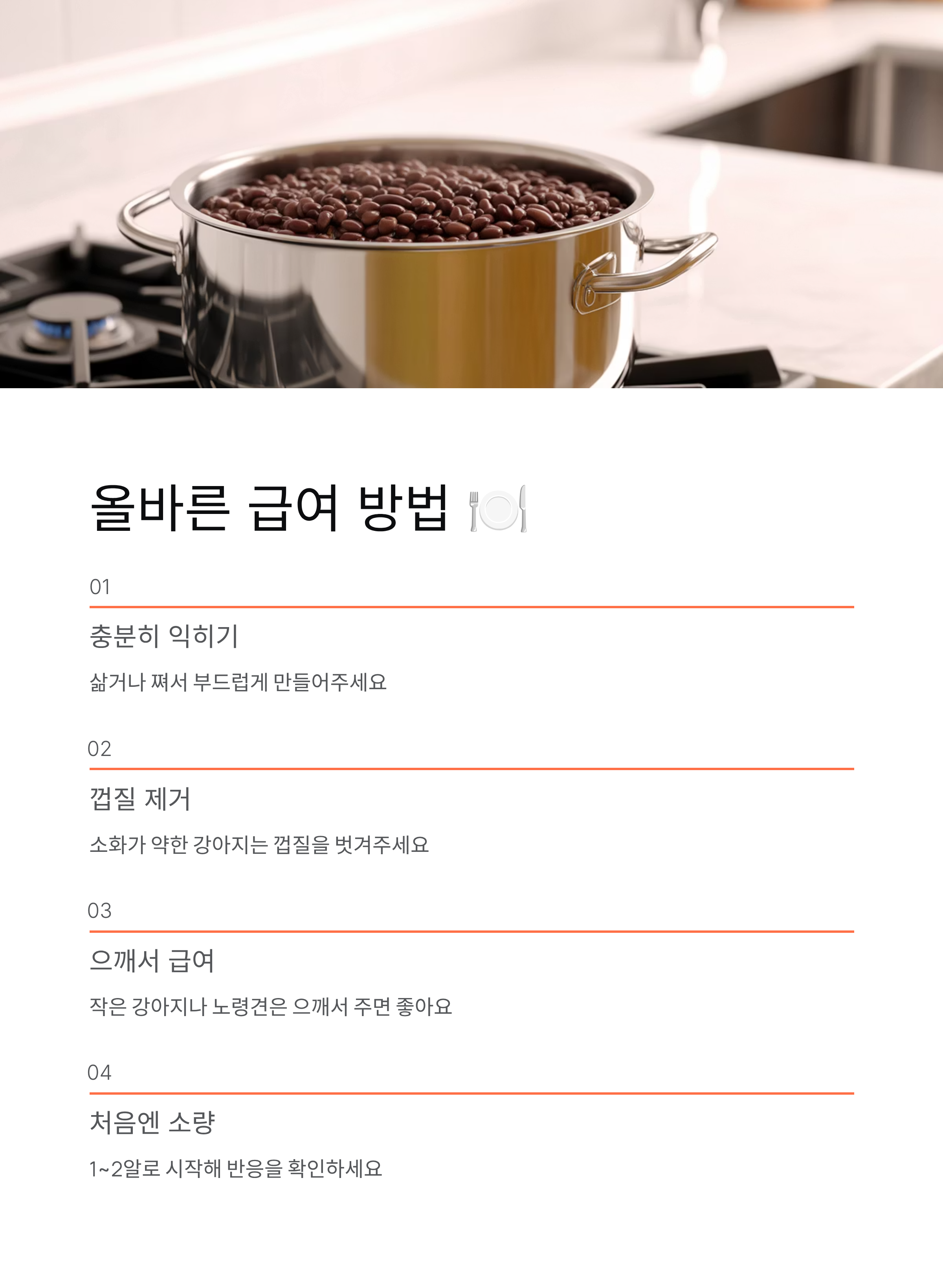 강아지 검은콩 🐕 급여량·효능·주의사항 완벽 정리!