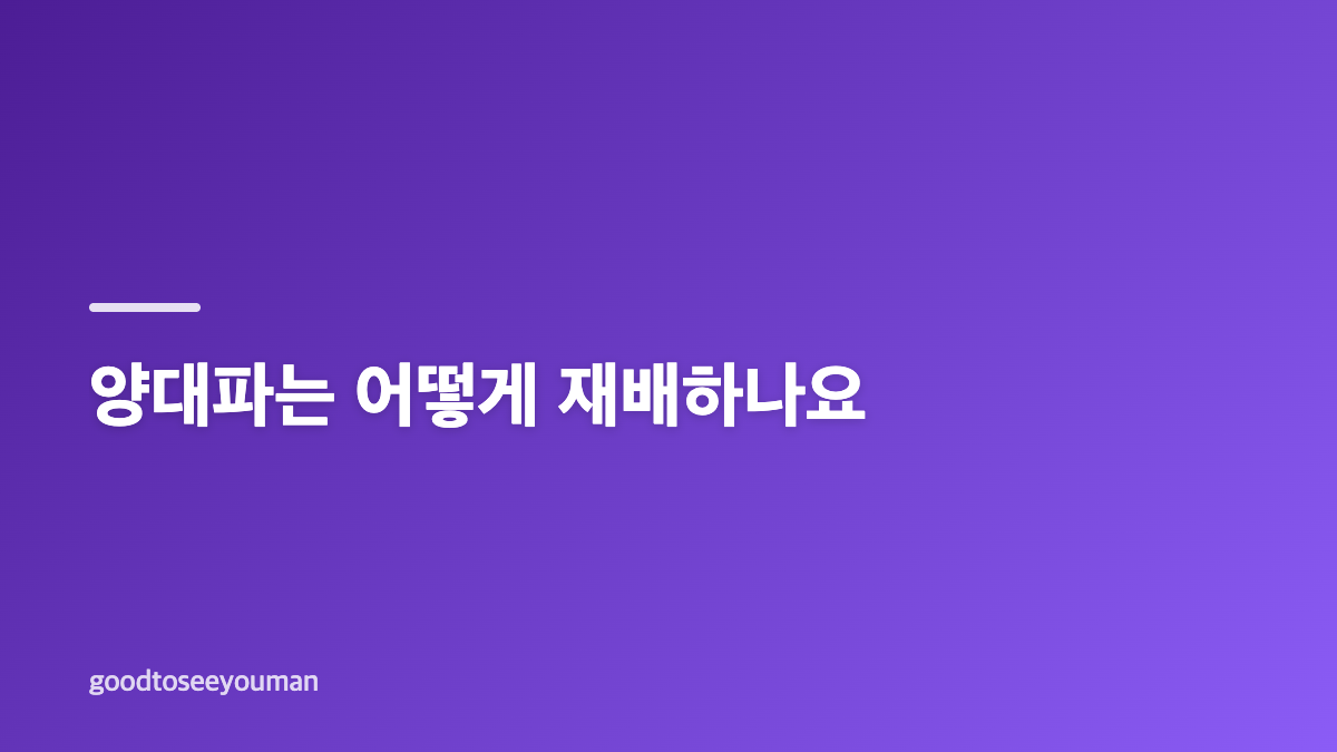 양대파와 대파 차이, 재배 시기와 요리 활용법
