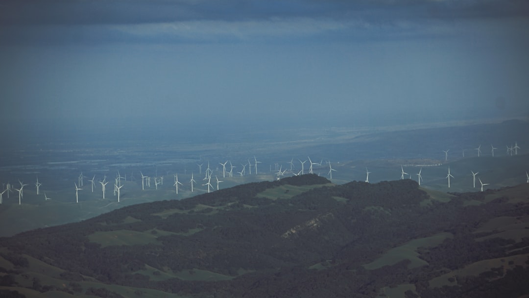 Carbon neutrality.