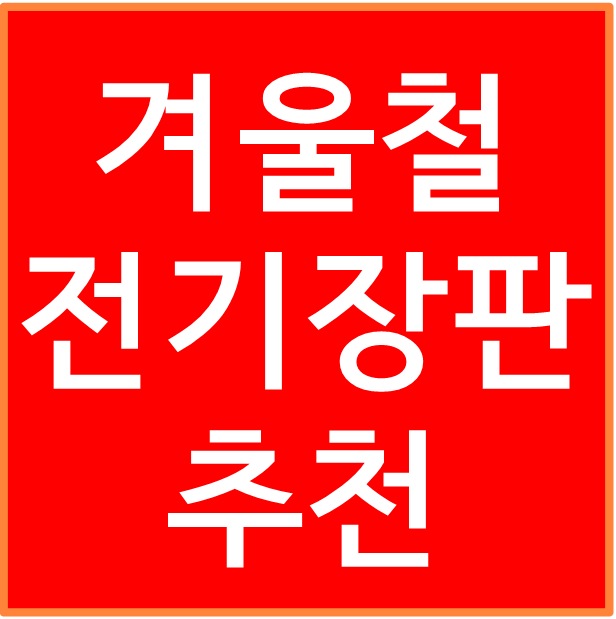 겨울철 가성비 좋은 1인용 전기장판