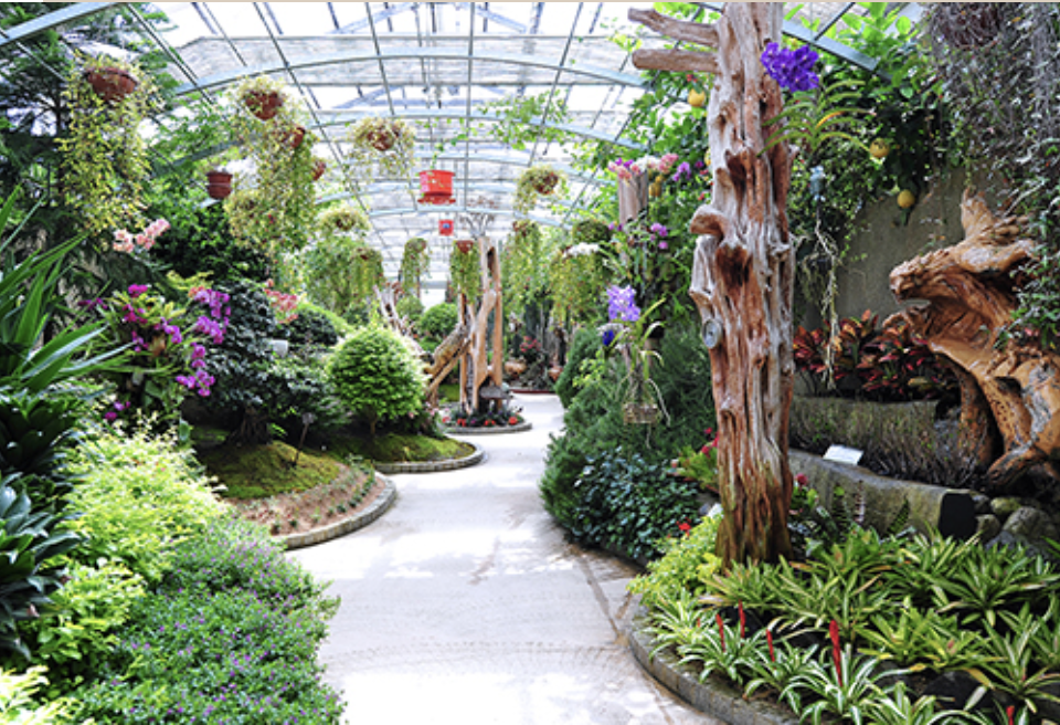 베어트리파크 단풍축제