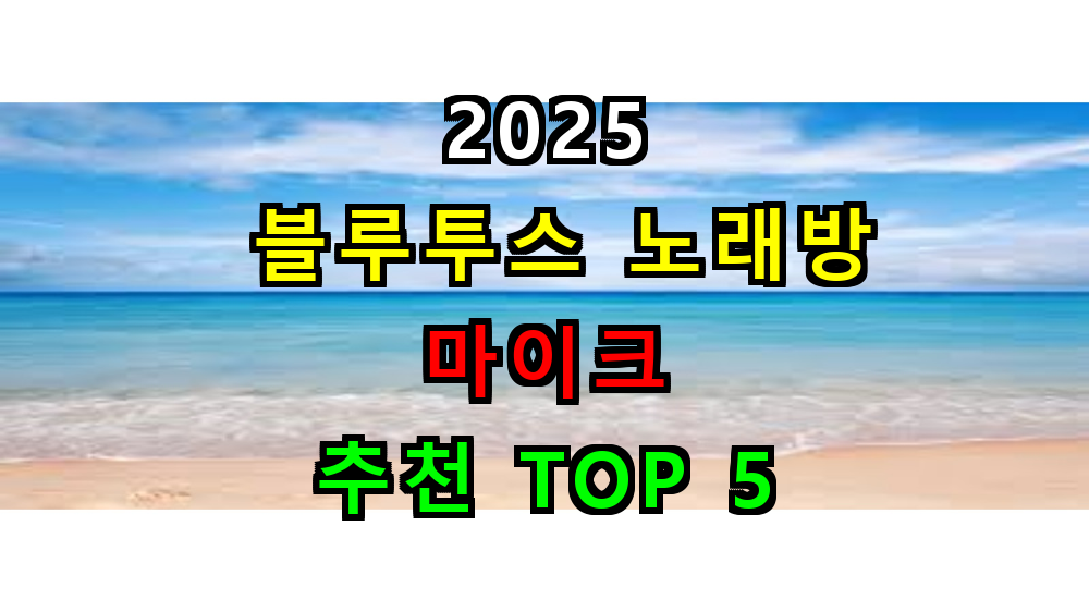 2025 블루투스 노래방 마이크 추천 TOP 5