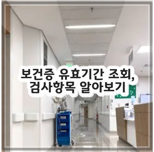 보건증 유효기간 조회, 검사항목 알아보기