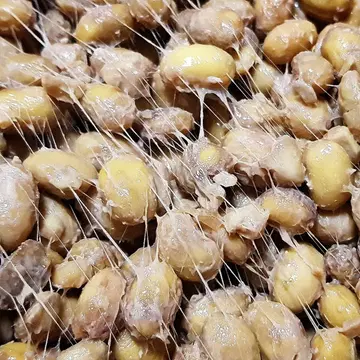 청국장의 효능 및 부작용