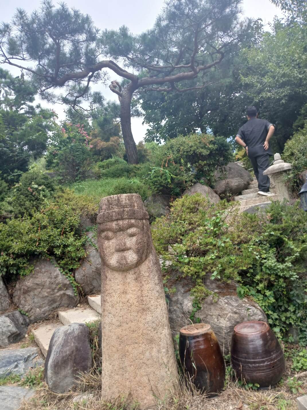 주차장과 식당 입구&amp;#44;아기 고양이들