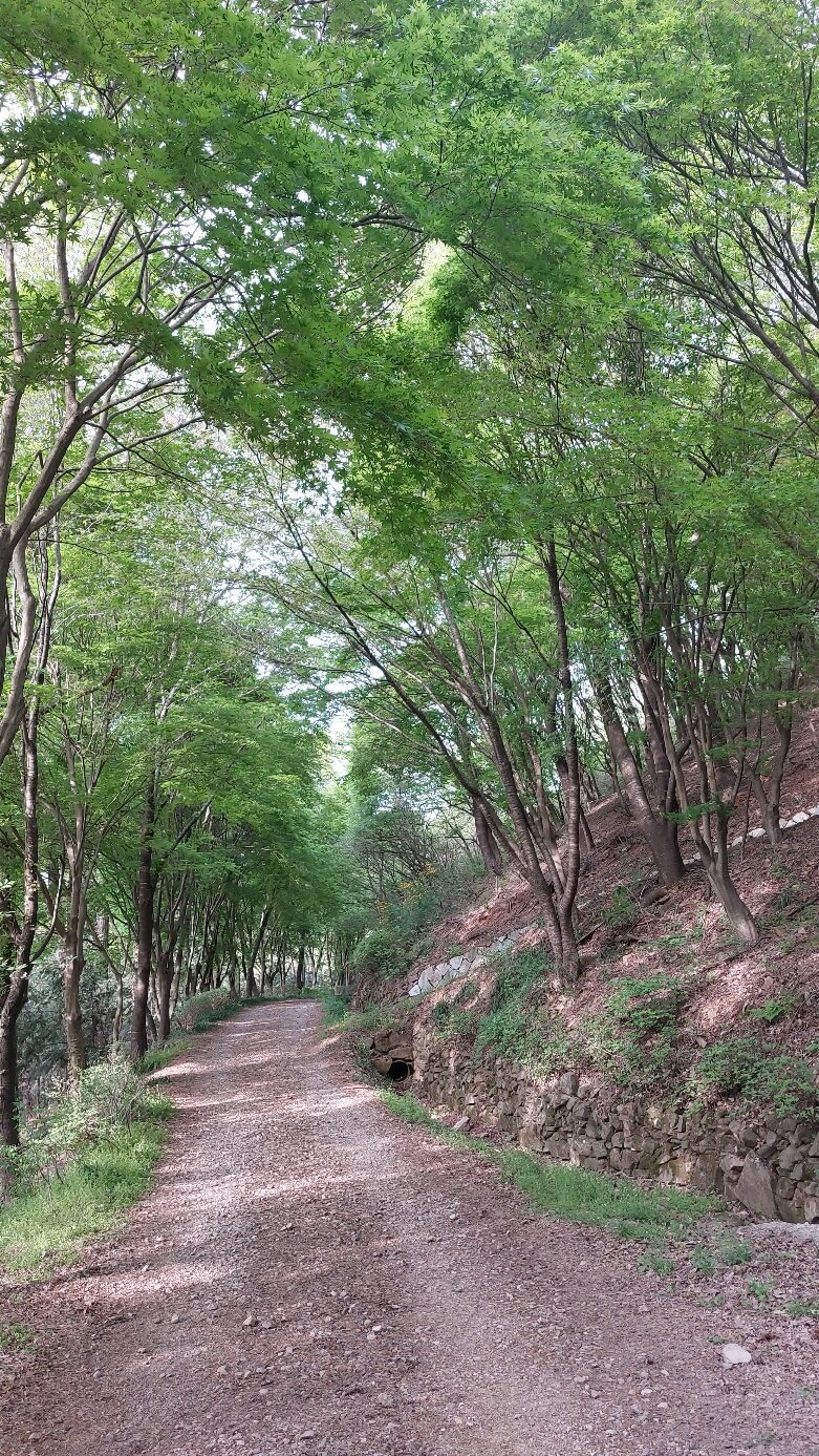 화산 꽃동산 숲길