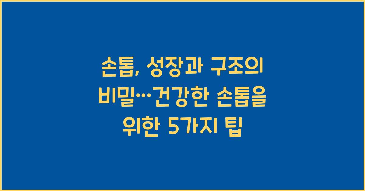 손톱, 성장과 구조