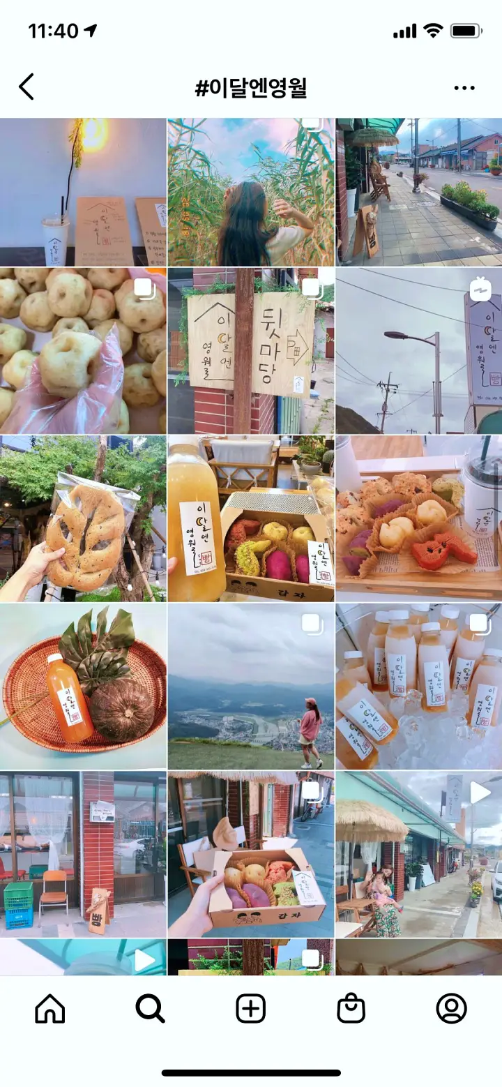 생방송오늘저녁 감자빵 호박식혜 한반도빵 맛집 강원도 영월 맛집