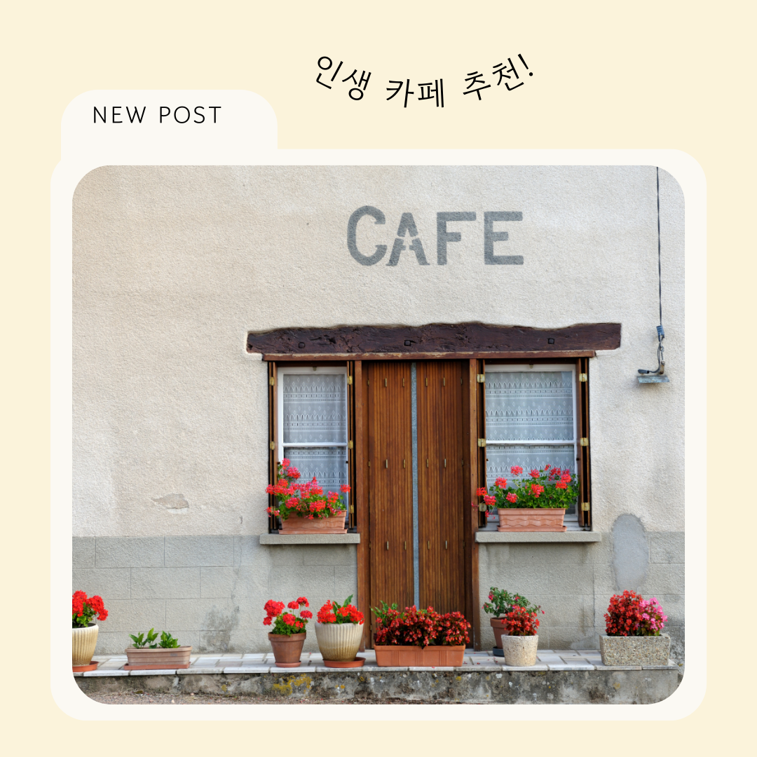 2025 서울 핫플레이스 신상 카페 브런치 추천