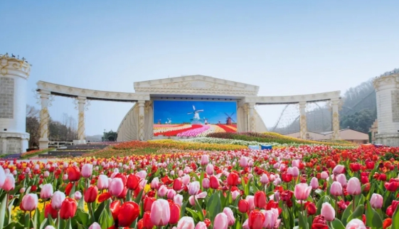 에버랜드 자유이용권 할인꿀팁