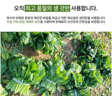 6시내고향-돌산갓