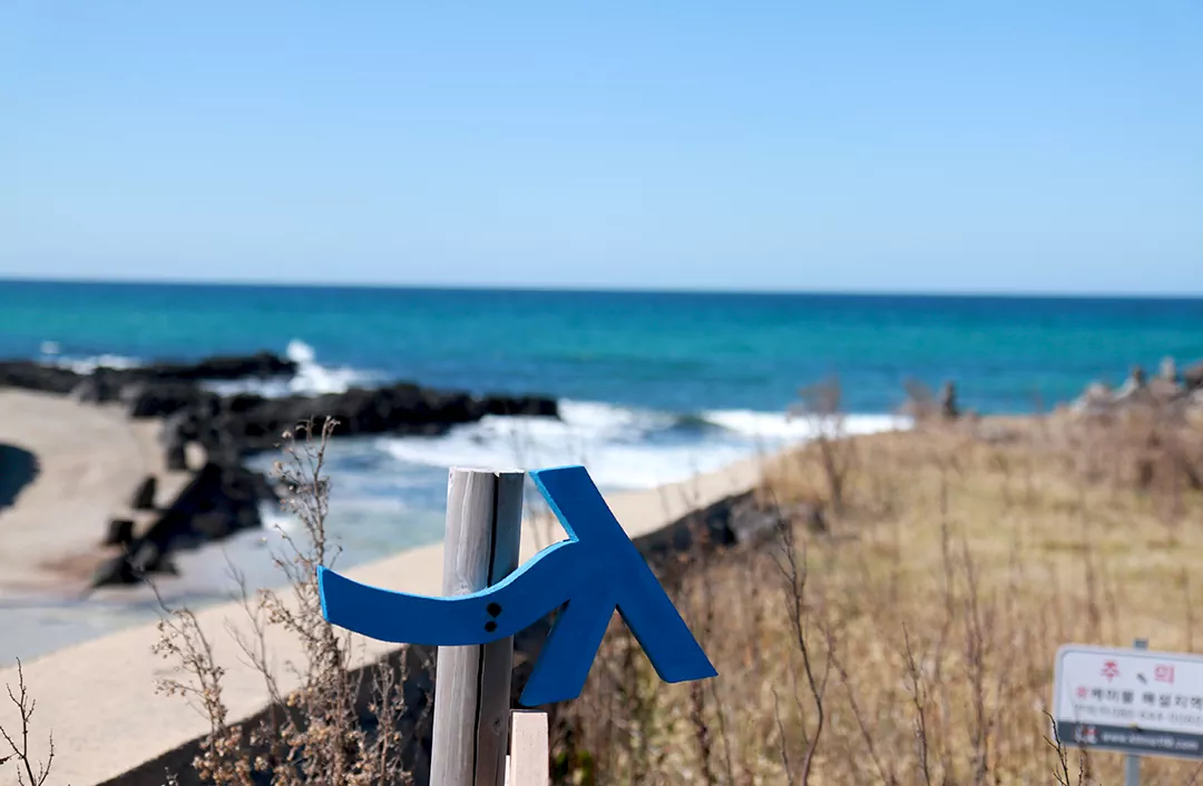 제주 올레길 14코스 내륙 숲길 구간이 끝나고 시야가 탁 트인 해안길로 접어드는 입구 전경. 파란 간세 이정표가 바다를 향해 서 있는 풍경 사진.