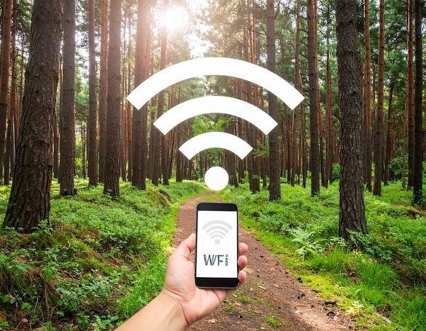 국립&amp;#44; 공립&amp;#44; 사립 자연휴양림