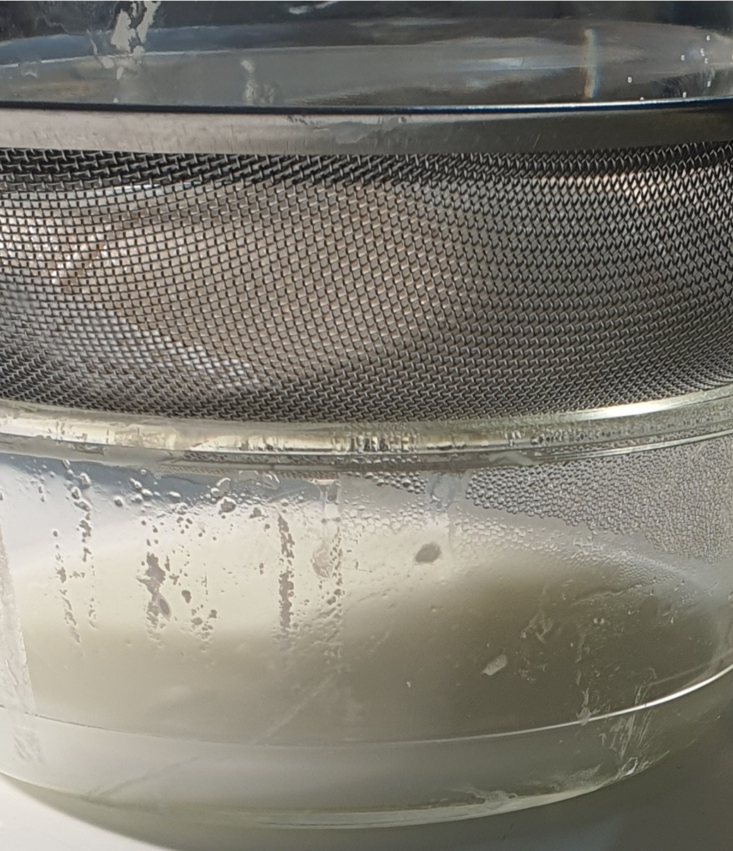 시간이 지나 면보가 요거트로 막혀 유청 이 안빠지는 모습