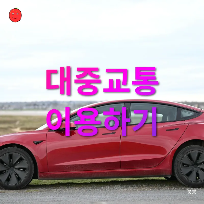 친환경 여행_1