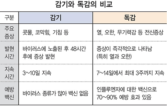 독감과 감기 차이