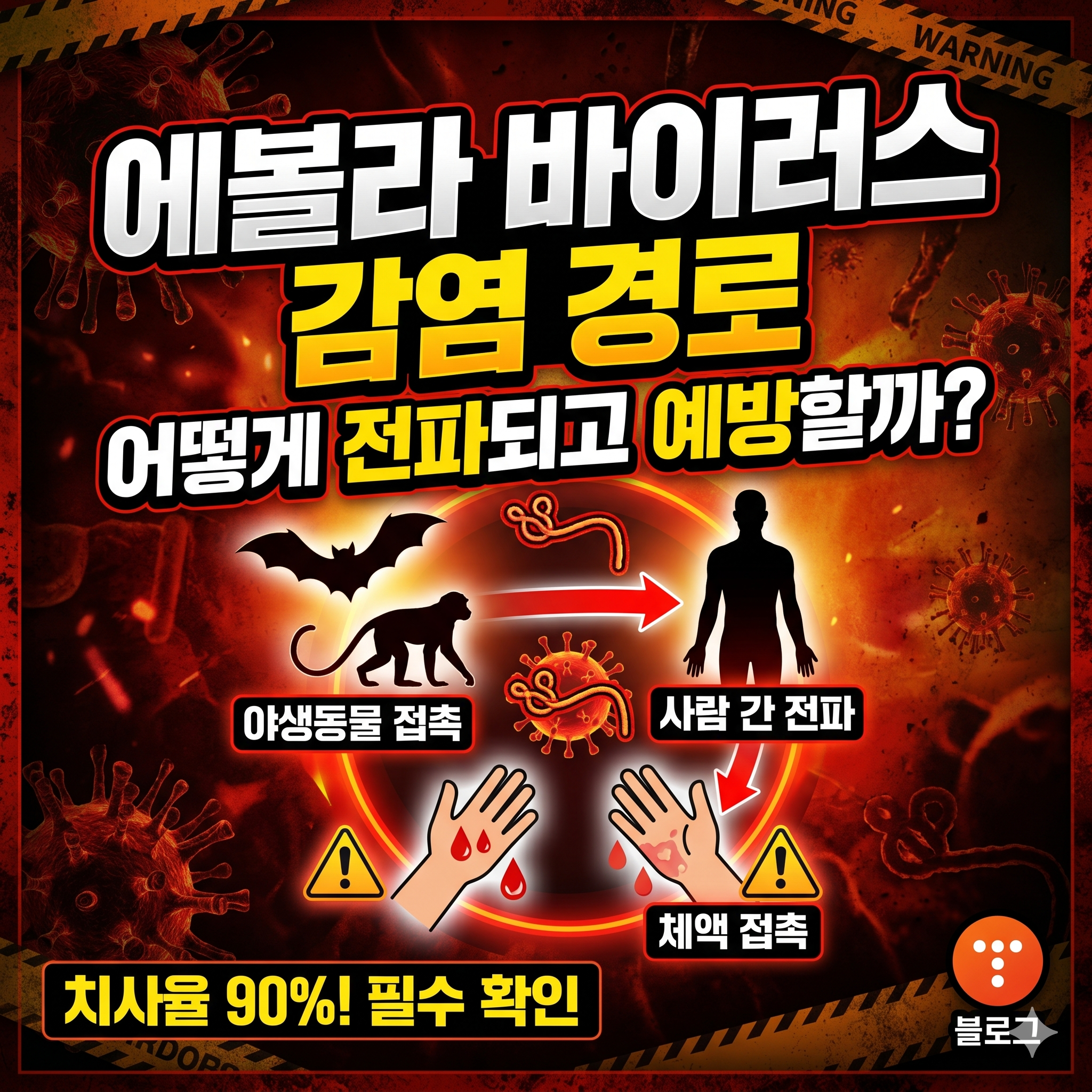 에볼라 바이러스 감염 경로 총정리: 어떻게 전파되고 예방할까?