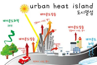 열섬 현상 도심 그늘길 이른 외출 수분 보충 습관_14