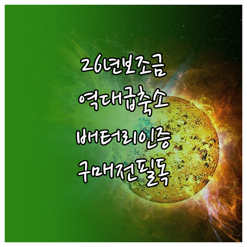 2026년 전기차 국고 보조금 축소와..