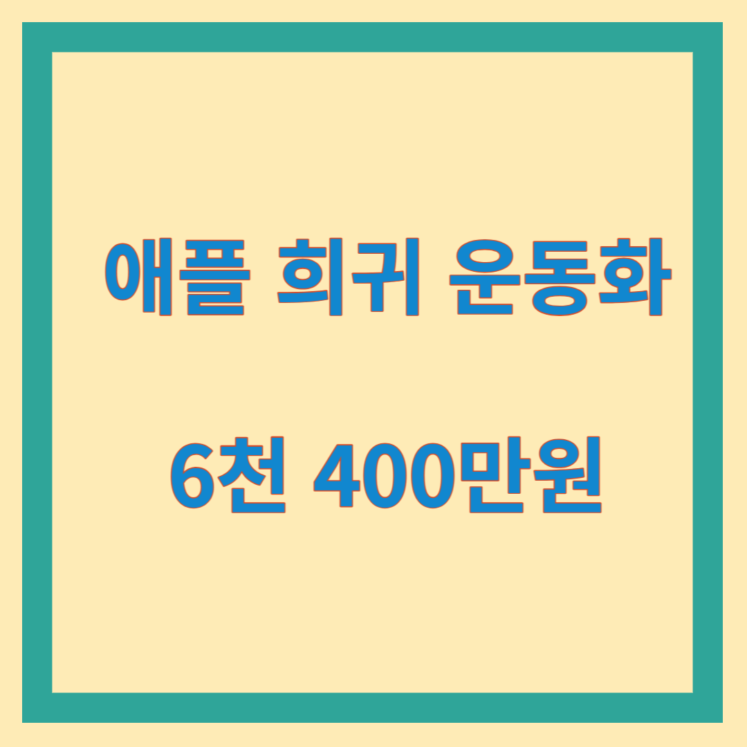 애플희귀템운동화