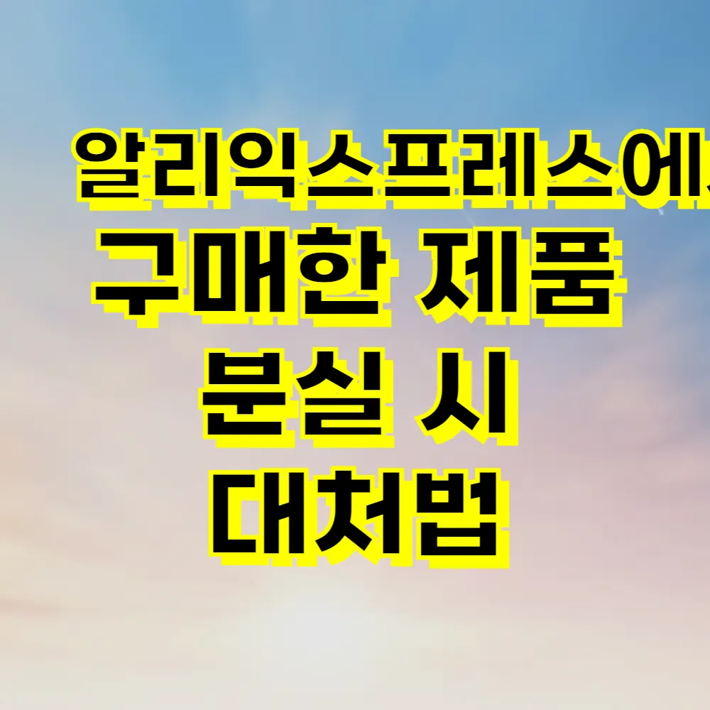 알리익스프레스에서 구매한 제품 분실 시 대처법