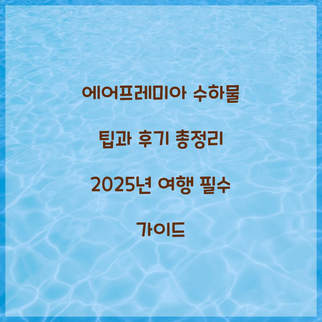 에어프레미아 수하물