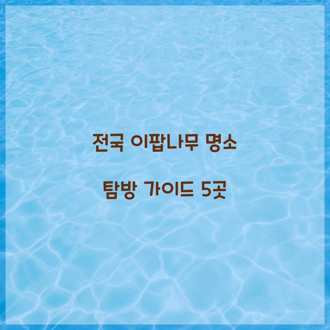 전국 이팝나무 명소