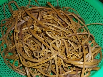 10월 제철음식 고사리