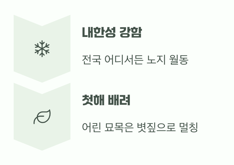 비결 5. 추운 겨울도 거뜬하게, '월동'