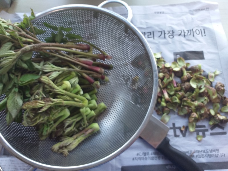두릅데치기&amp;두릅전