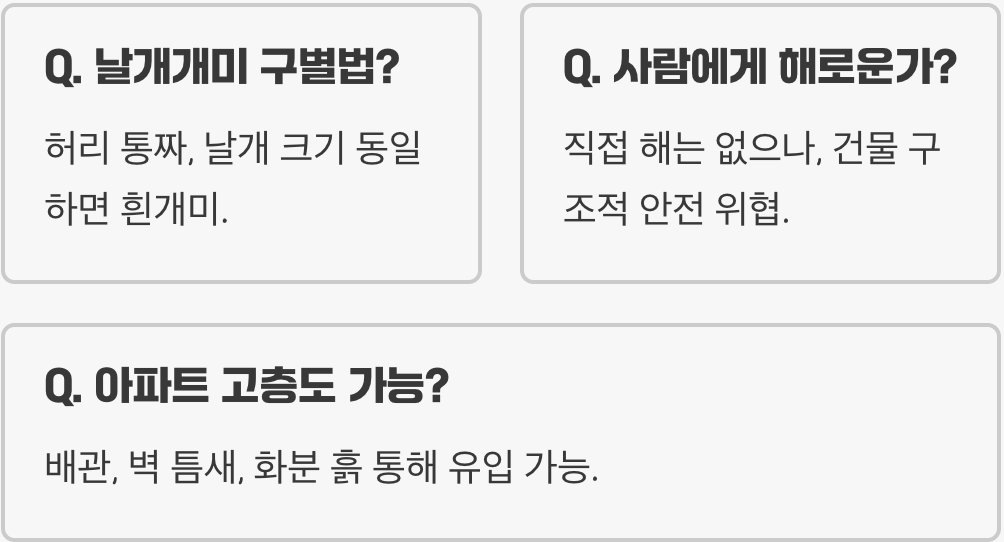 흰개미 발생 원인과 특징 총정리 – 집과 건물에 피해를 주는 해충의 정체