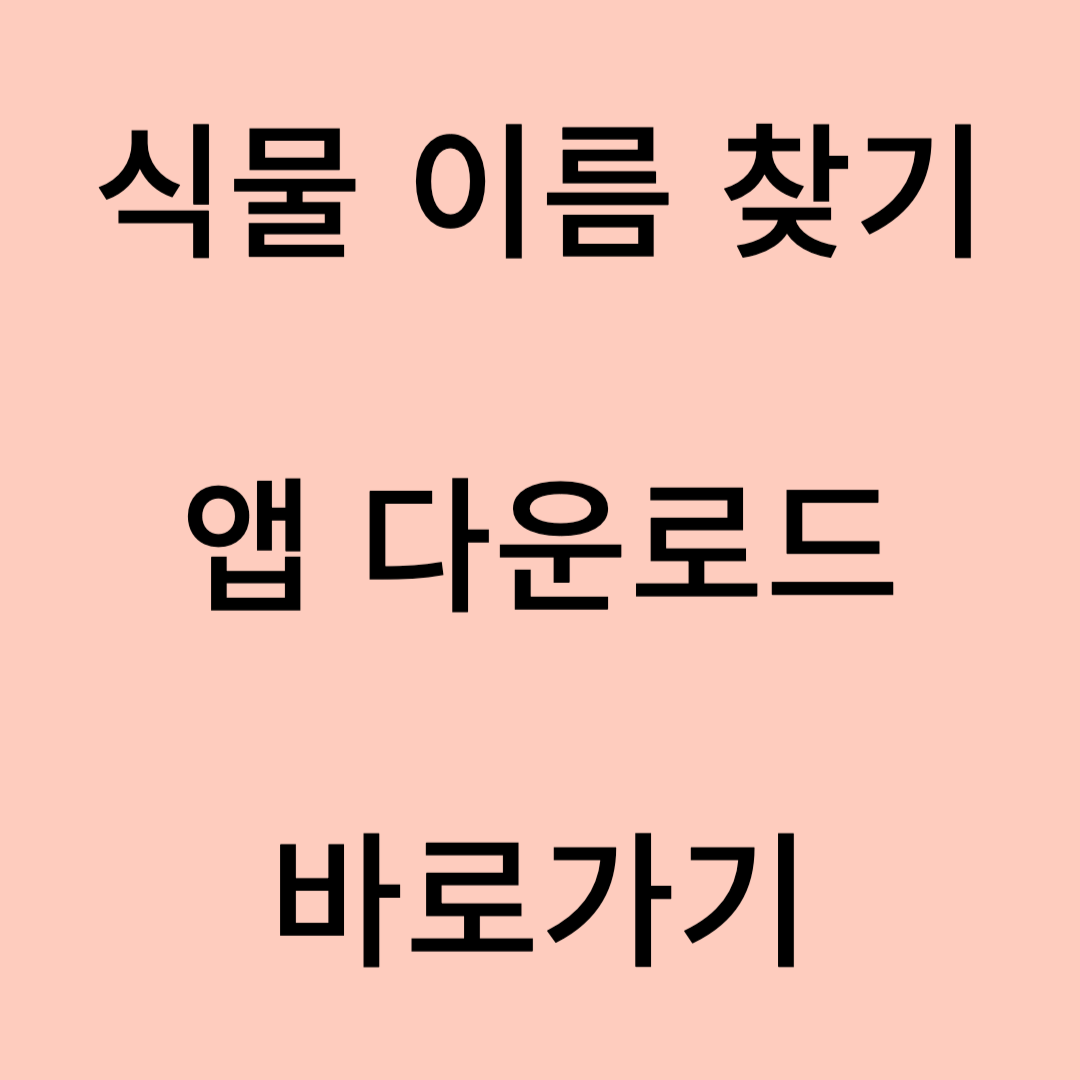 식물 이름 찾기 앱 다운로드 바로가기