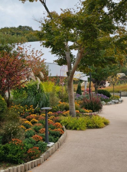 용인/새로운/인기/핫플/용/자작나/숲