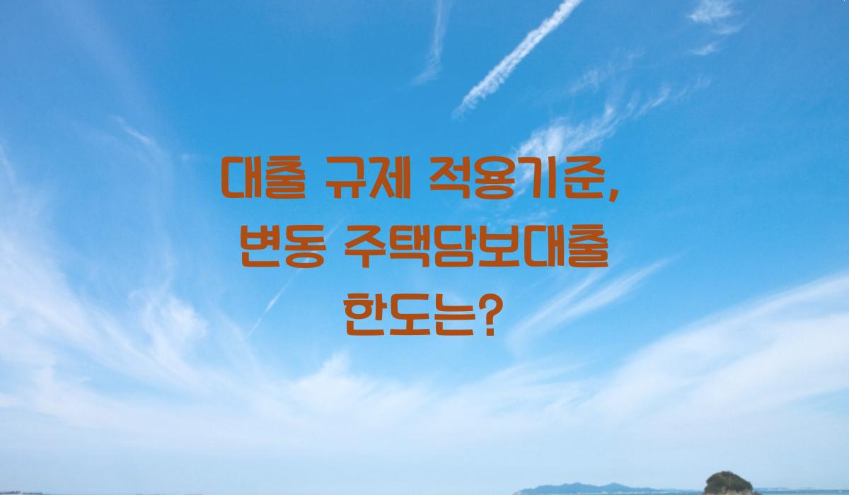 대출 규제 적용기준