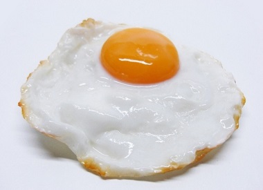 비오튼 음식 달걀