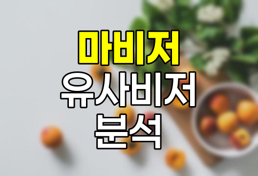 A24 마비저와 유사비저 종합 분석