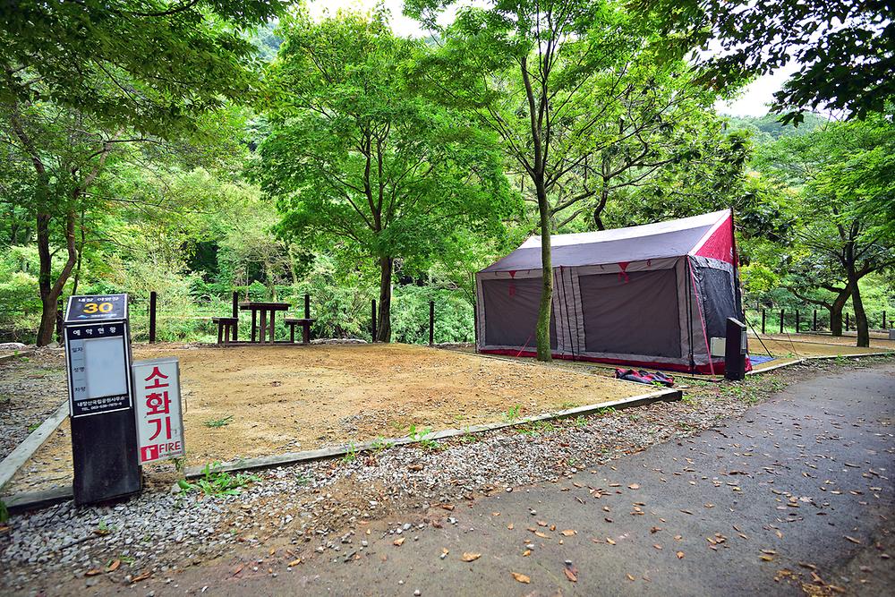 내장산 내장야영장. 전라북도 정읍시 내장동 내장산로 800(내장동 92-2)