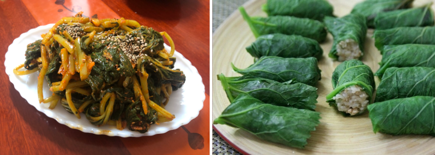 생방송투데이 봄머위 효능 및 구매방법 이주의장바구니 충남 논산 이메골농장