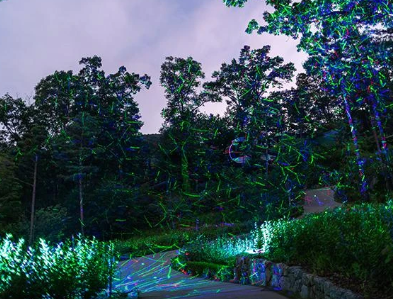 2025 화담숲 반딧불이 축제 예약 총정리