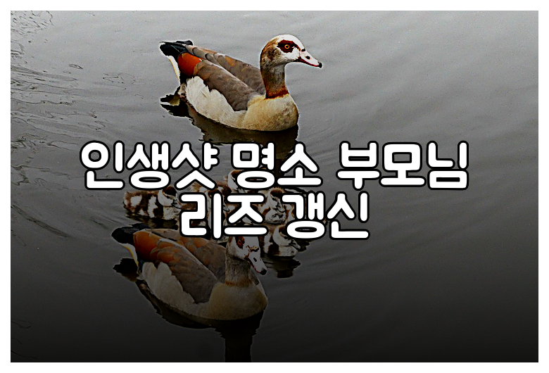 인생샷 명소 부모님 리즈 갱신