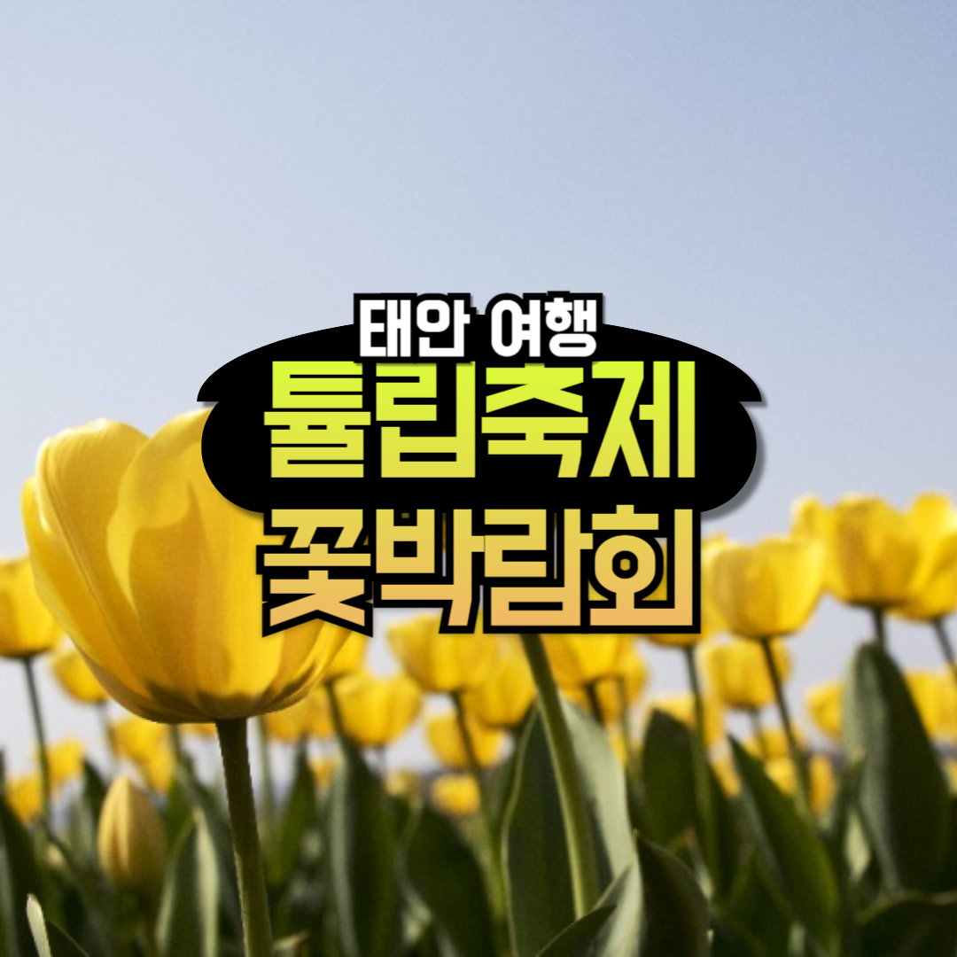 태안 튤립축제 기간, 입장료 할인정보