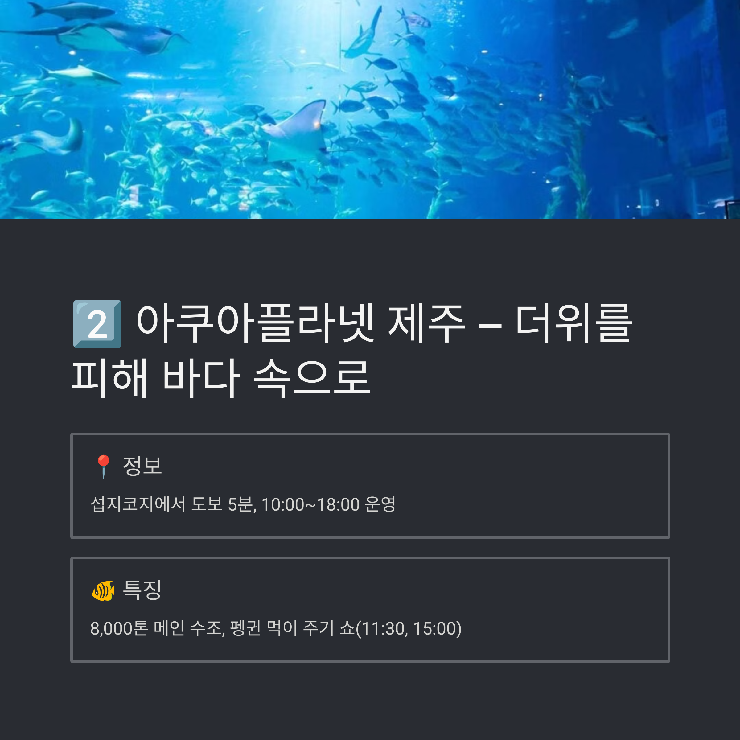 아쿠아 플라넷 제주
