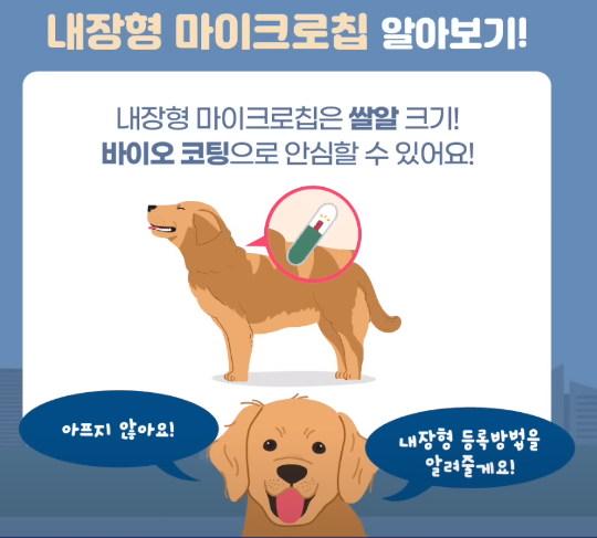 내장형과 외장형