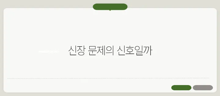 혈뇨가 나오는 이유 신장 문제일 가능성은
