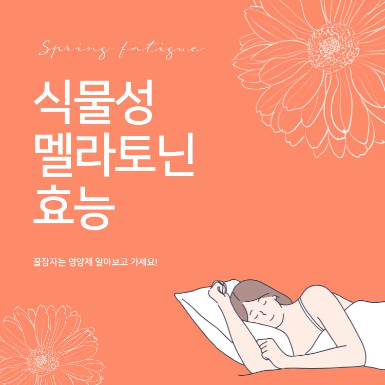 식물성 멜라토닌 효능