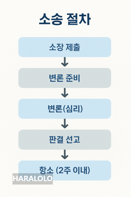 소송절차 요약도