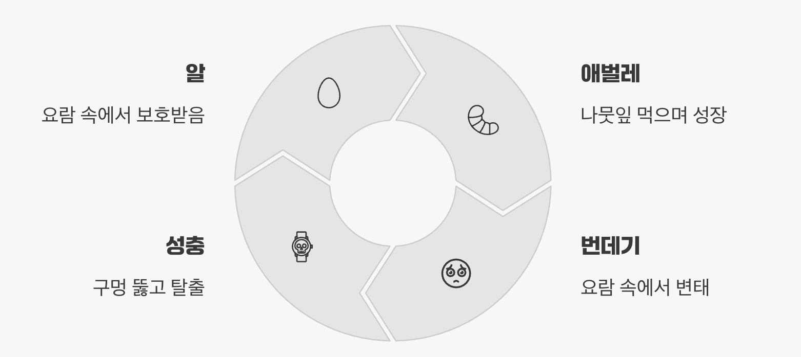 요람 속의 안전한 성장기