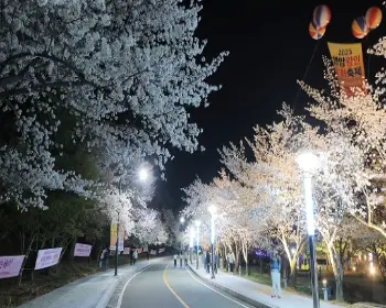 영암왕인문화축제_17